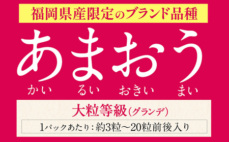 いちご イチゴ 苺 福岡の名産 いちご あまおう いちご 苺 540g 送料無料 【着日指定不可】《3月中旬-4月中旬頃より出荷予定》ふるさと納税 いちご 福岡県 鞍手郡 【鞍手町】