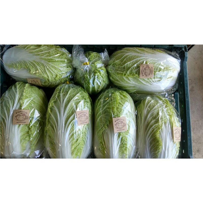【ふるさと納税】【先行予約】京丹後冬鍋野菜セット（2025年11月中旬～発送） 鍋セット 1〜2人前 野菜 やさい 京野菜 鍋 せっと 生産者応援 農家応援 送料無料