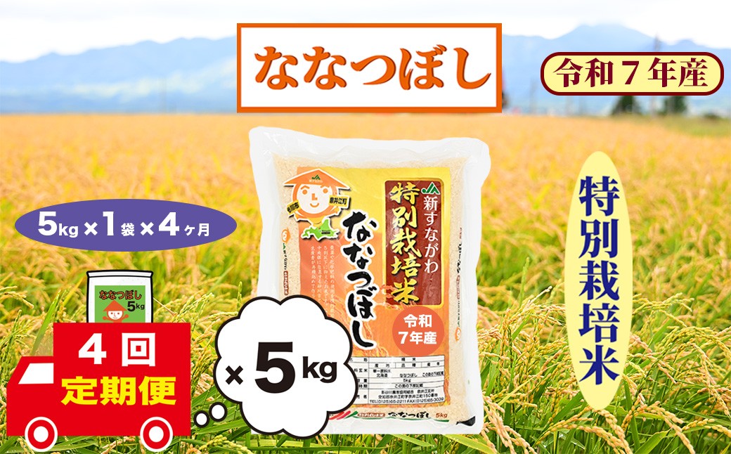 
                  【定期便4回】北海道奈井江町　特別栽培米　ななつぼし　5kg
                