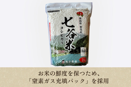 【令和7年産新米先行予約】【定期便5ヶ月毎月お届け】新潟産 コシヒカリ「七谷米」精米 8kg（2kg×4）《10月上旬から順次出荷》 加茂市