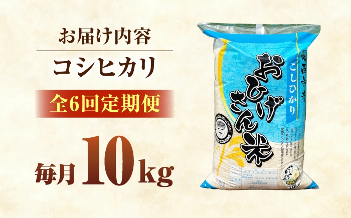 米 お米 10kg 10キロ 定期便 白米 精米 愛知県 国産 コシヒカリ