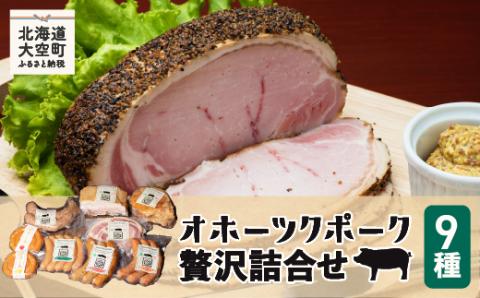 【先行予約】オホーツクポーク贅沢詰合せ9種（2025年6月中旬以降発送予定） OSE004