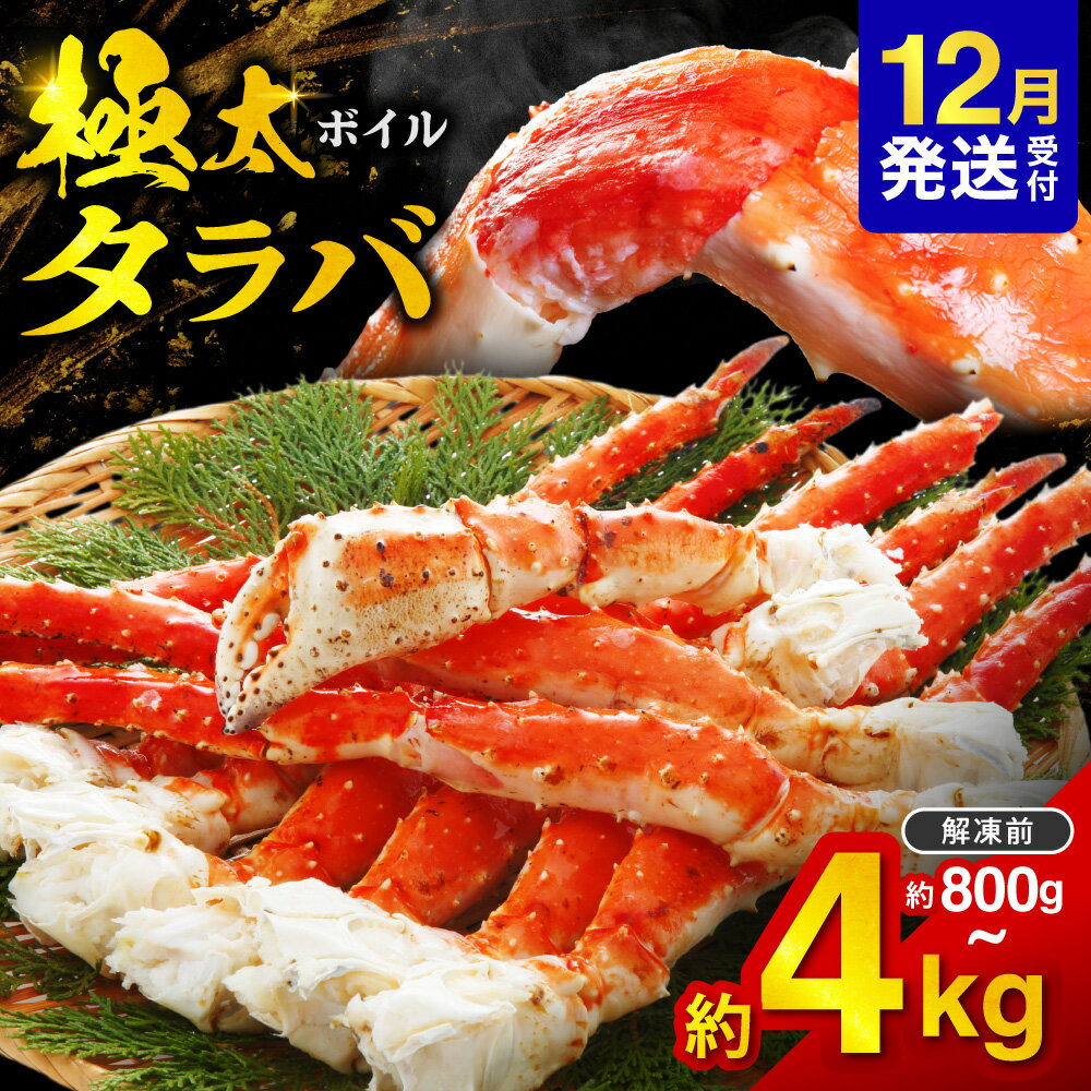 【ふるさと納税】 年内発送 極太 タラバ 【 選べる サイズ 数量 発送時期 】 約800g 約1kg 1肩～4肩 約1.6kg 約2kg 約2.4kg 約3kg 約3.2kg 約4kg ボイル タラバガニ たらばがに カニ かに 蟹 脚 冷凍 甲殻類 魚介 海鮮 厳選 お取り寄せ グルメ ギフト 北海道 札幌市