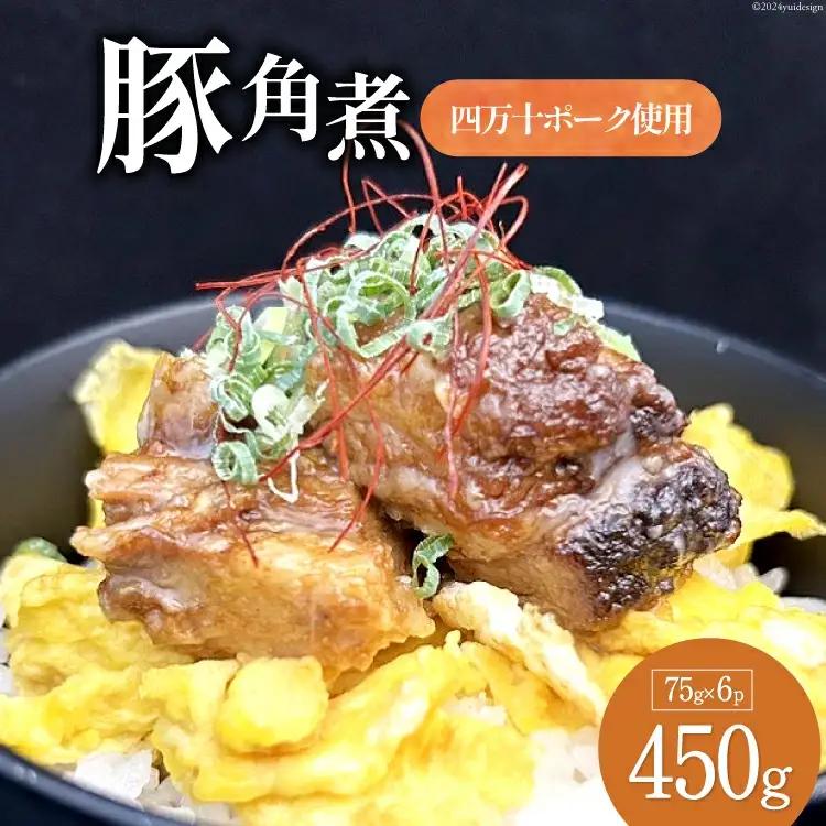 角煮 満天の星特製 豚の角煮 (四万十ポーク使用) 75g 6袋