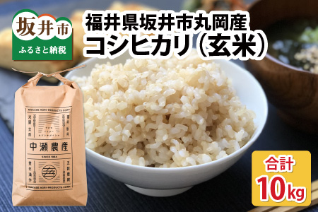 【先行予約】【令和7年産・新米】 福井県坂井市丸岡町産 コシヒカリ 10kg（玄米）【2025年10月より順次発送予定】 [C-11301_02]