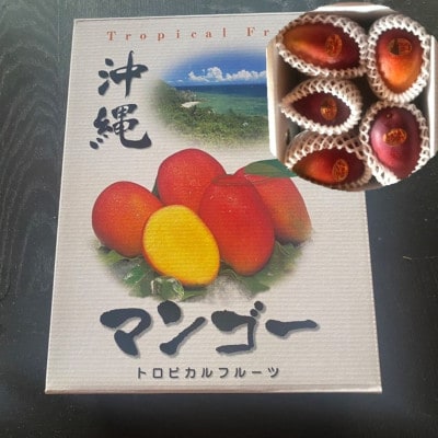 【2026年7月頃発送】離島の恵み　完熟マンゴー2.0kg【配送不可地域：離島】