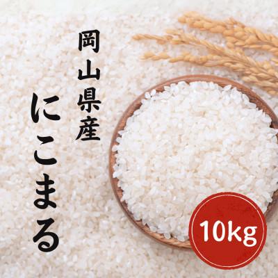 ふるさと納税 早島町 令和7年産 にこまる 岡山県産 10kg(5kg×2) 新米 白米