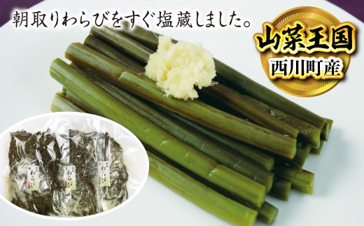 
FYN9-230 《国産》塩蔵わらび 西川町産 3kg (1kg×3パック)
