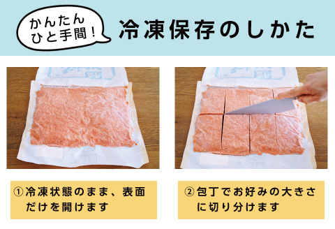 鮭フレーク塩味1kg ＜12月18日決済分まで年内配送＞ G-16004