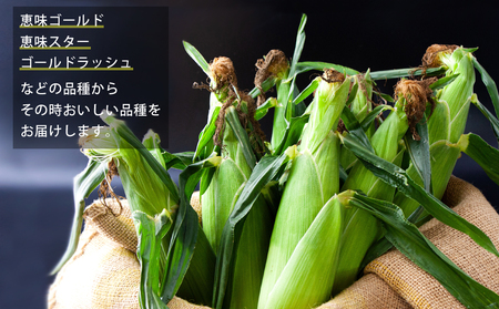 産地直送！ みんな大好きスイートコーン5kg～ふるさとセット～