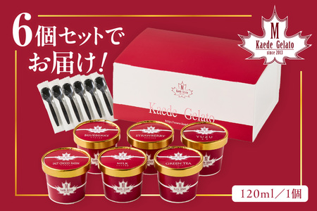 島根の新鮮な素材をふんだんに使った「イタリアンジェラート」（6個入） アイスクリーム 人気 スイーツ イタリアンジェラート お菓子 アイス ミルク チョコ 抹茶 苺 ギフト ご褒美 贈答【003_06