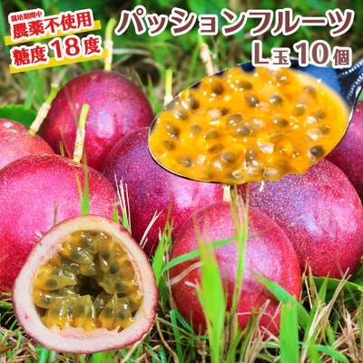 ふるさと納税 関市 数量限定 糖度18度 パッションフルーツ果実 10個入り【7月下旬〜10月下旬に順次発送】
