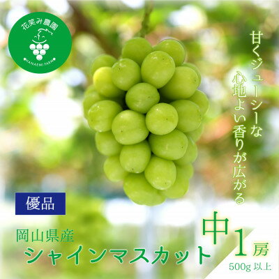 【ふるさと納税】【2026年先行予約】岡山　花笑み農園の『シャインマスカット』500g以上(中1房)S-中1【配送不可地域：離島】【1695403】