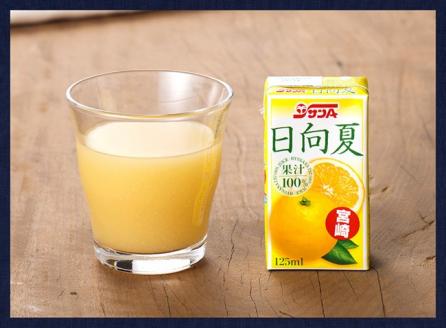 【定期便】『サンA日向夏ジュース100%』３ヶ月定期便【ジュース 果汁100％ フルーツジュース 紙パック 日向夏 宮崎県 全3回】