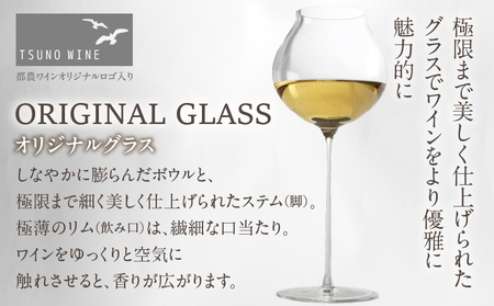 先行予約≪数量限定≫都農ワイン ピノグリ2本&グラスセット 酒 飲料 アルコール 国産 ロナ_T014-021