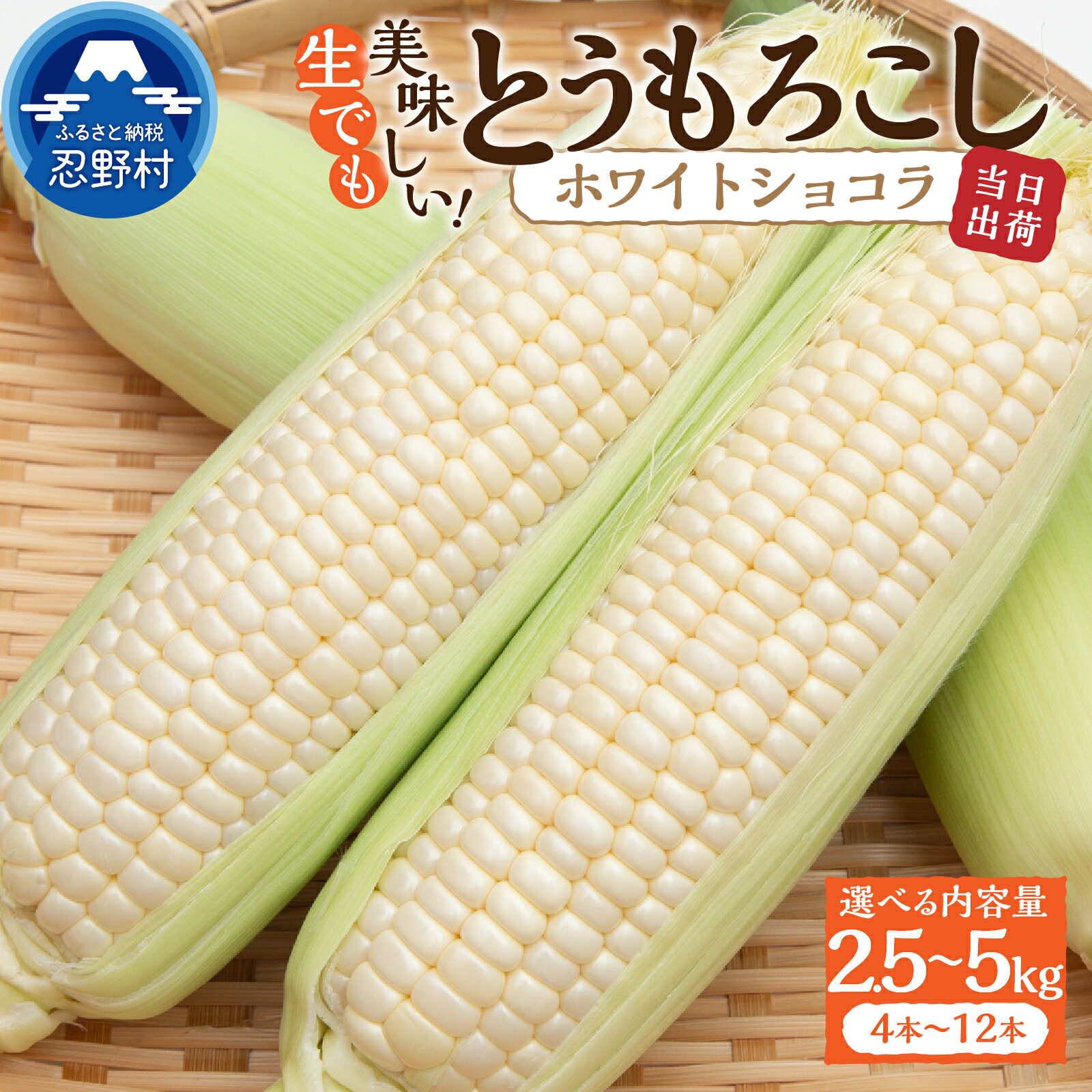 【ふるさと納税】 《先行予約》 とうもろこし コーン 朝採り 人気 トウモロコシ ホワイトショコラ 2.5kg 5kg とうきび 野菜 お取り寄せ 産地直送 農家直送 直送 新鮮 ギフト プレゼント 贈り物 贈答 自宅用 食用 送料無料 ※沖縄県、離島不可 山梨県 忍野村
