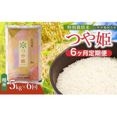 ふるさと納税 鶴岡市 【毎月定期便】斎藤農場の特別栽培米つや姫5kg [K-840]全6回