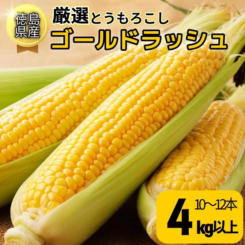 【6月下旬から7月下旬まで発送】とうもろこし ゴールドラッシュ 4kg以上 