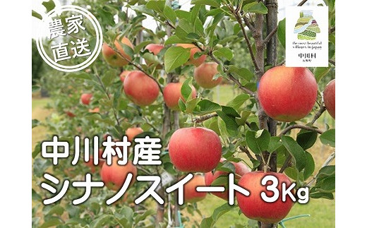 担当者おすすめ「味覚の里なかがわ」の旬のくだもの（シナノスイート３Kg箱）10月中下旬発送予定