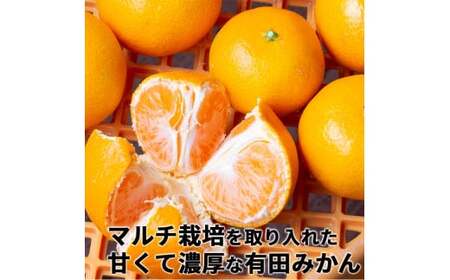 有田 みかん 特選 赤秀 5kg 【 創業120年 農家直送 】 / 温州みかん 有田みかん 甘い ギフト 贈答 高級 和歌山 柑橘 ※11月より順次発送予定 【isy004-gif-5B】