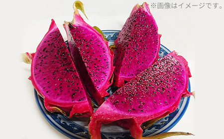 【2026年発送】熱帯果樹生産組合の完熟ドラゴンフルーツ 【レッドドラゴンフルーツ】　約2kg(3～7玉)- 赤 果肉 レッド ピタヤ スーパーフルーツ 先行受付 先行予約 人気 抗酸化作用 ベタシア
