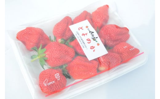 【2月上旬～4月上旬順次発送】小さなくだもの畑のいちご 三次市/小さなくだもの畑 [APAQ002]