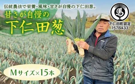甘さが自慢の下仁田葱（Mサイズ 15本） とろける 甘い ねぎ ネギ 王様ねぎ 殿様ねぎ 特産 栄養たっぷり ブランド 上州ねぎ すきやき F21K-614