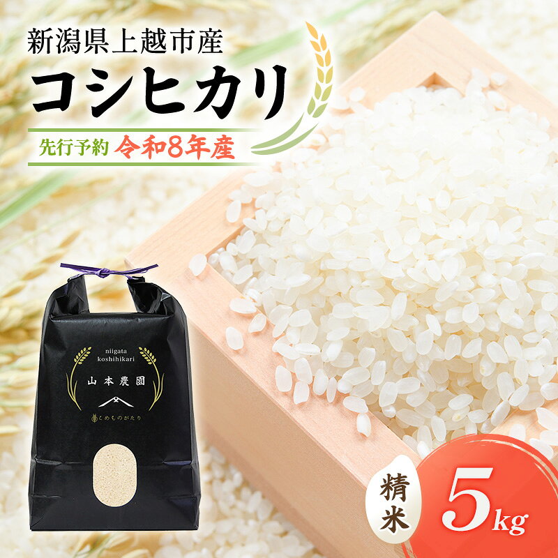 【ふるさと納税】先行予約 令和8年 新潟県上越市産 コシヒカリ（特別栽培米） | 5kg 5キロ 米 山本農園 ご飯 精米 新潟 上越　お届け：2026年10月中旬～12月下旬まで