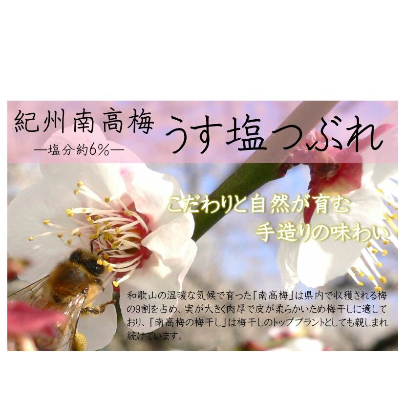 YD1001_紀州南高梅うす塩つぶれ（塩分約6％）700ｇ×2_イメージ2