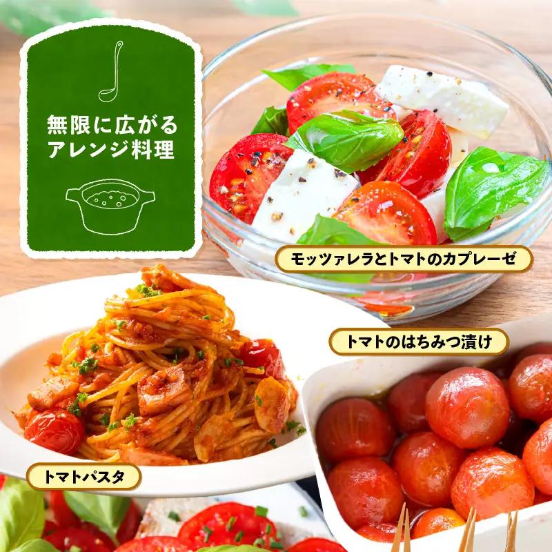 定期便 ≪2ヶ月連続お届け≫ フルーツミディトマト 約1kg × 2回 トマト 野菜 [m37-a026]