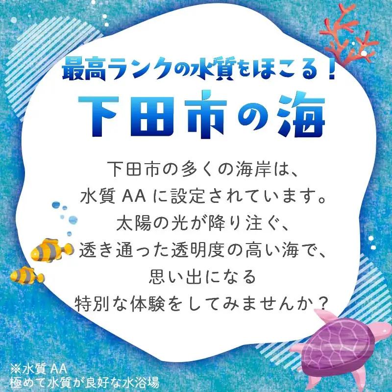 ダイビング 補助券 5,000円分 ダイビング 伊豆 下田