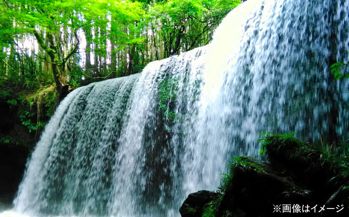 い・ろ・は・す(いろはす)阿蘇の天然水 2Lペットボトル×6本(1ケース) / ミネラルウォーター 軟水 飲料水 ペットボトル 天然水 非常用【コカ・コーラボトラーズジャパン株式会社】 [BHAO00
