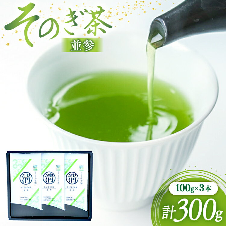 【ふるさと納税】茶 緑茶 そのぎ茶 (並参) 100g 3袋入り 総計300g [まるせい酒井製茶 長崎県 東彼杵町 hs42bag370004] 茶 ちゃ お茶 おちゃ 緑茶 りょくちゃ 日本茶 茶葉