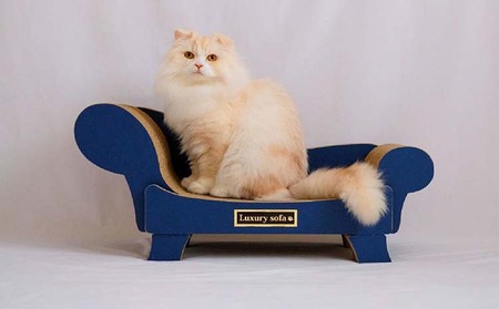 猫の爪とぎ　ラグジュアリーソファ（カラー：ネイビー） 猫 ねこ ネコ キャット cat 爪とぎ ダンボール 段ボール かわいい おしゃれ ソファ ベッド 写真映え 丈夫 日本製 国産 おもちゃ ペット