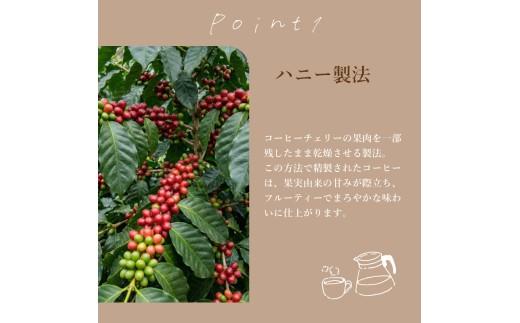 【 豆 】 自家焙煎 コーヒー 200g コスタリカ コーヒー豆 coffee ko-hi- KO-HI- co-hi- CO-HI- COFFEE 豆 フィルター レギュラー ブレンド キャンプ 珈