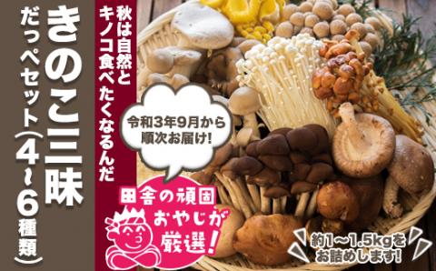 田舎の頑固おやじが厳選！　きのこ三昧だっぺセット　4～6種類・約1～1.5kg【令和3年9月から順次お届け】　