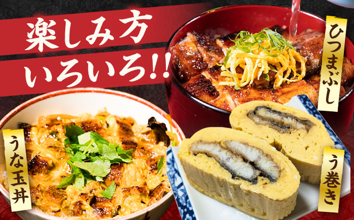 【全12回定期便】福岡県産 うなぎ 蒲焼 大5尾　合計 800 g（1尾あたり 160g以上）《豊前市》【福岡養鰻】 国産 うなぎ 大 [VAD019]