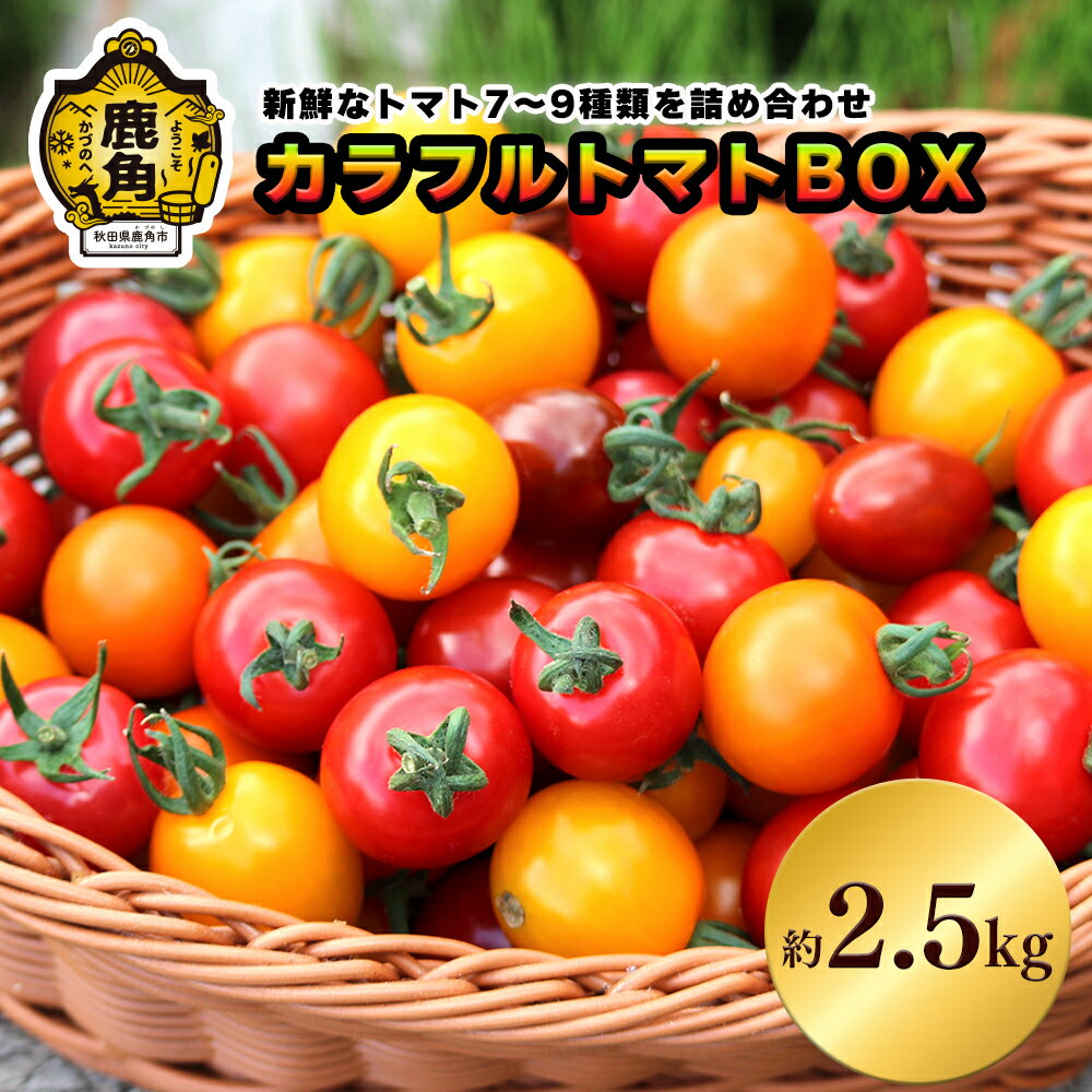【ふるさと納税】 《先行予約》 国産 秋田県鹿角産 カラフルトマトBOX 約2.5kg 新鮮 野菜 安全 ミニトマト 大玉 中耳玉 詰め合わせ お中元 お歳暮 お取り寄せ 母の日 父の日 グルメ ギフト 故郷 秋田 あきた 鹿角市 鹿角 送料無料 【早川農園】