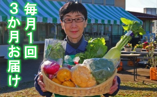 おおばん市場 旬の野菜詰め合わせ 約7品×3回 3か月定期便 毎月1回 埼玉県白岡市産 新鮮野菜 野菜セット 季節の農産物 おまかせ 冷蔵便 産地直送 採れたて 四季折々 地元生産者 厳選 おうちごはん サラダ 煮物 炒め物 スープ 鍋料理 通年申込 有限会社しらおか味彩センター
