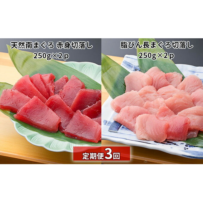 【ふるさと納税】鮪 赤身 【定期便3回】天然南まぐろ 計1kg 切落し 脂びん長まぐろ マグロ 産地直送 静岡県浜松市
