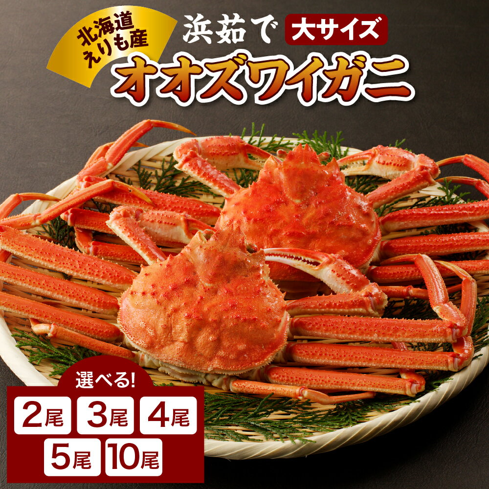 【ふるさと納税】高評価 浜茹で オオズワイガニ ( 選べる 2尾 800g / 3尾 1.2kg / 4尾 1.6kg / 5尾 2kg / 10尾 4kg ) かに カニ おおずわいがに おおずわい 蟹 大ズワイ 大ズワイガニ ズワイガニ ズワイ ボイル かにみそ 蟹みそ まるごと 大サイズ 国産 北海道 えりも町