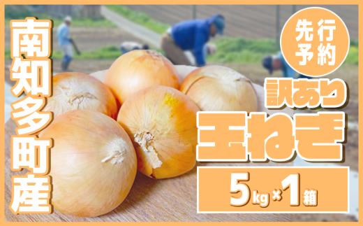 【先行予約 5～6月出荷】 訳あり 玉ねぎ 5kg(1箱)  野菜 オニオン 甘い 玉葱 肉じゃが ハンバーグ 家庭用 大きさ不揃い 先行予約
