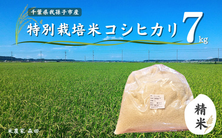 【冷めても美味しい】農家直送 千葉県産 特別栽培米コシヒカリ 7kg（精米）