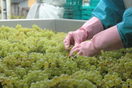 「月虎 シャルドネ」 白ワイン 辛口 （720ml×1本）　018-E-CK016