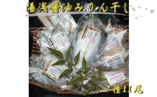 【和歌山の近海でとれた新鮮魚】 鯛入り梅塩干物と湯浅醤油みりん干し 7品種11尾入りの詰め合わせ 【tec248-11】