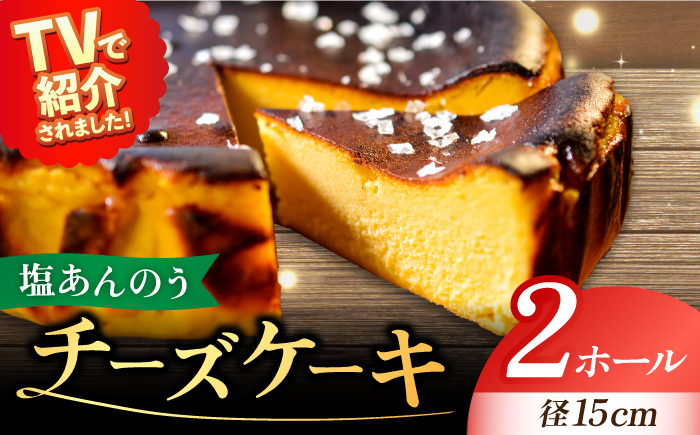 【ヒルナンデスで紹介されました！】五島列島 チーズケーキ 塩あんのう 2個 お菓子 ケーキ 【虎屋】 [RBA004]
