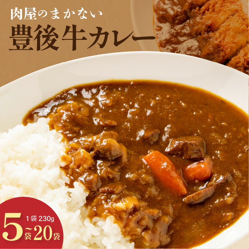 【ふるさと納税】【容量が選べる！】肉屋のまかない豊後牛カレー230g 5袋 / 10袋 / 20袋