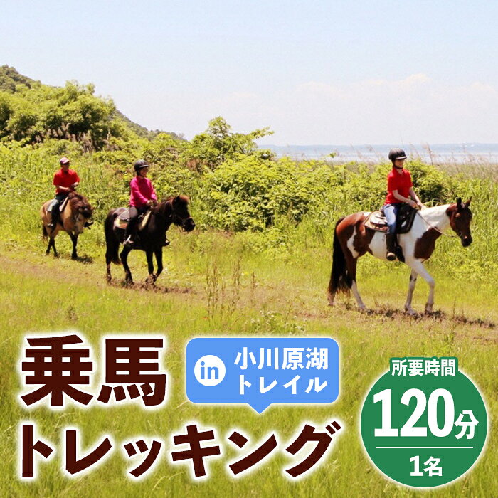 【ふるさと納税】青森県三沢市 乗馬トレッキング(小川原湖トレイル) 1名様 120分 乗馬 乗馬体験 馬 トレッキング 【材株式会社】【ms13-02】