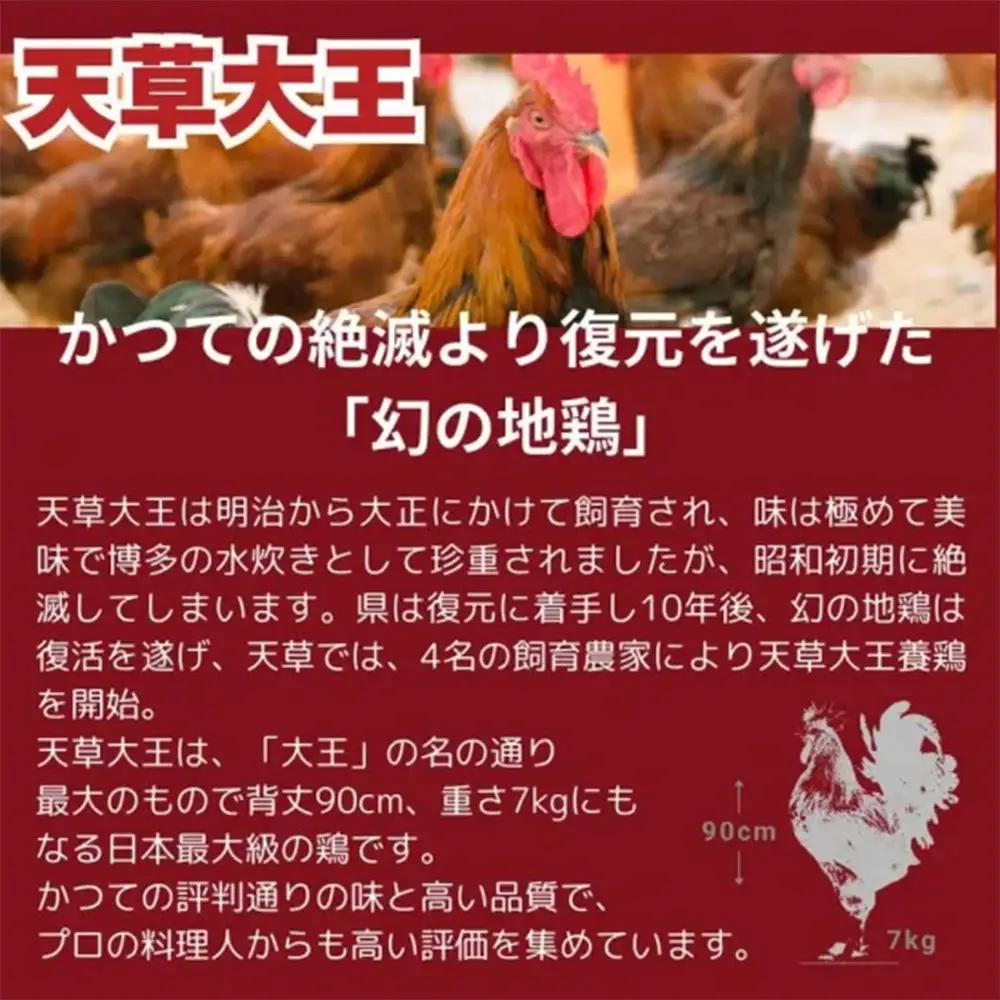 【ふるさと納税】天草大王 1羽まんぷくセット 鶏肉 セット 約1.4kg（ 鶏もも肉 鶏むね肉 ササミ 手羽元 手羽先 ） 希少 幻の地鶏 大容量 小分け 鶏肉 冷凍 送料無料 お取り寄せ グルメ 国