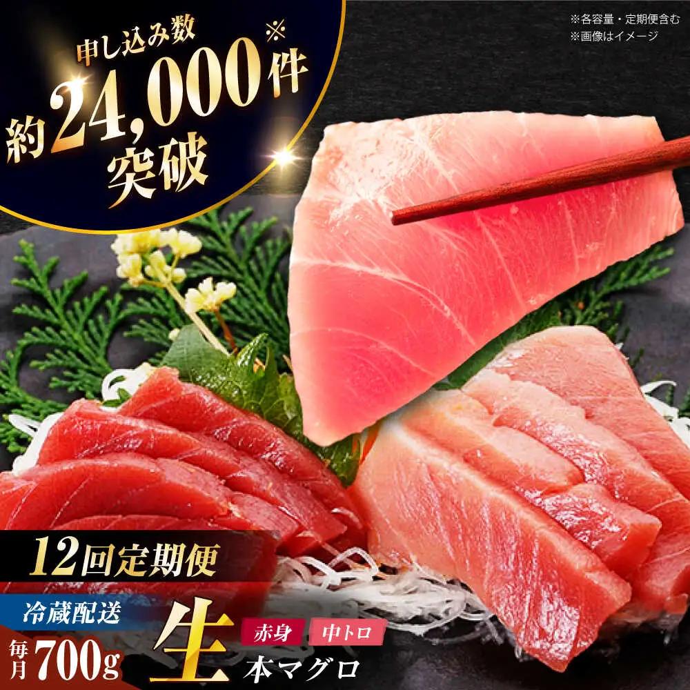 【全12回定期便】五島列島産養殖生本かみまぐろ 赤身 中トロ 計約700g[RBP069] 本マグロ 本まぐろ 定期便 本マグロ 本まぐろ 定期便 本マグロ 本まぐろ 定期便九州 長崎